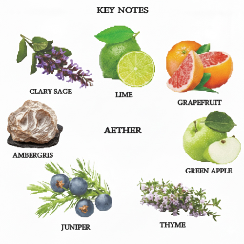 AETHER<BR>EAU DE TOILETTE FOR MEN<BR>SOLID PERFUME JAR - Image 3