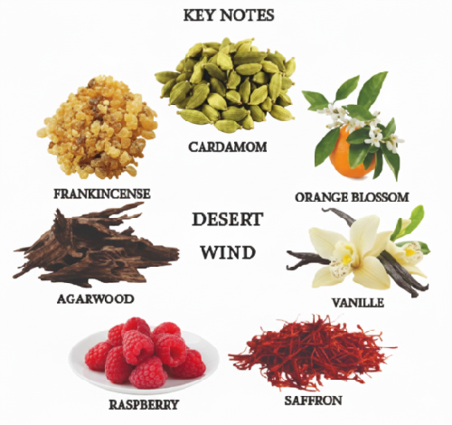 DESERT WIND<BR> EAU DE TOILETTE FOR MEN<BR>SOLID PERFUME JAR - Image 3